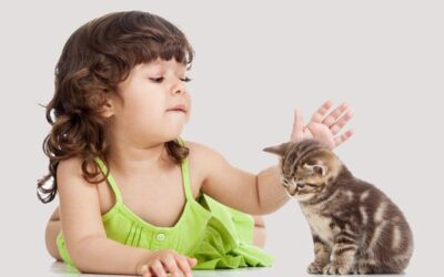 Światowy Dzień Kota – 17 lutego